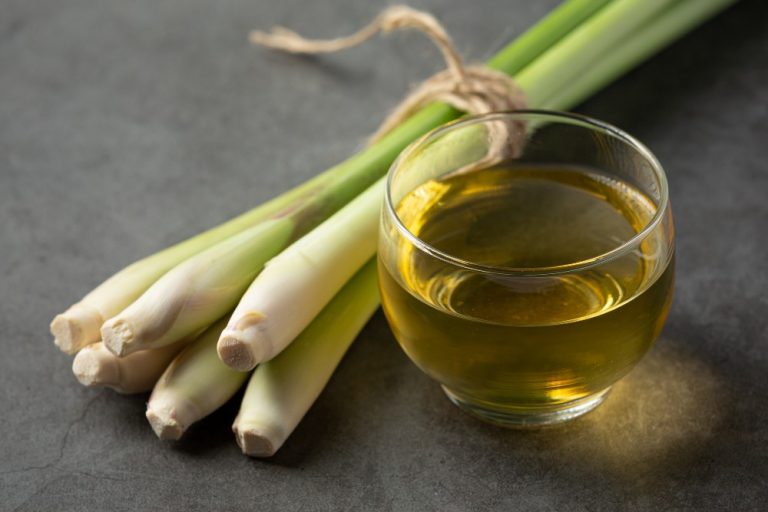 benefits-and-uses-of-lemongrass-essential-oil-az-organic-oils-100